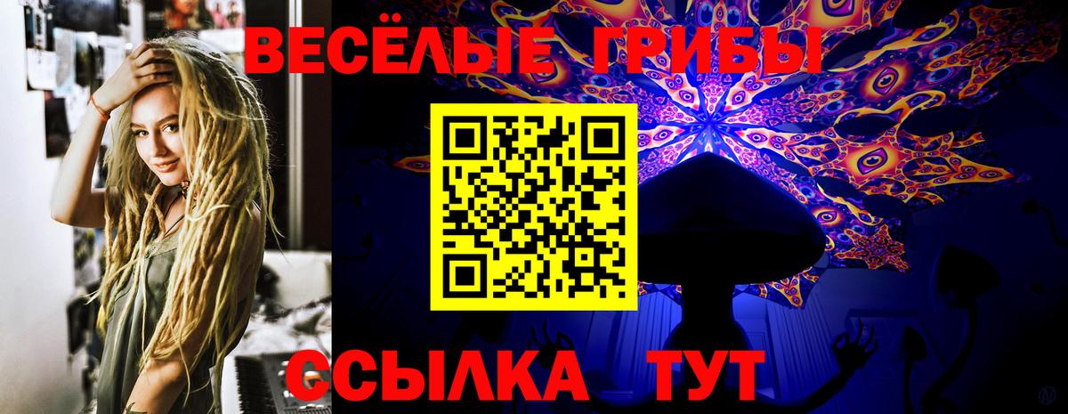 Кольчугино  Галлюциногенные грибы MAGIC MUSHROOMS  Вход с VPN 
